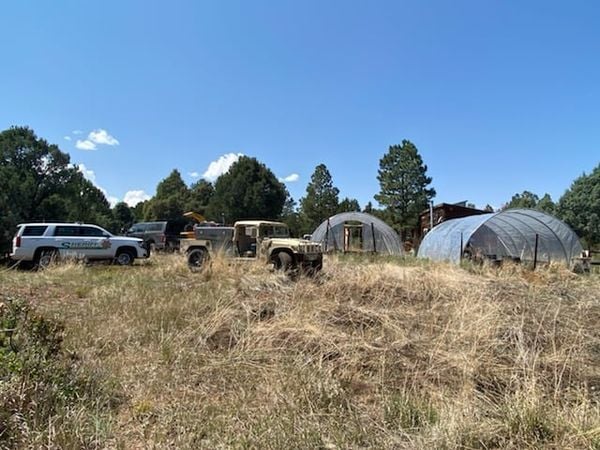 Colorado Bureau of Investigation seizes multiple pounds of pot plants in Montrose and San Miguel counties raids